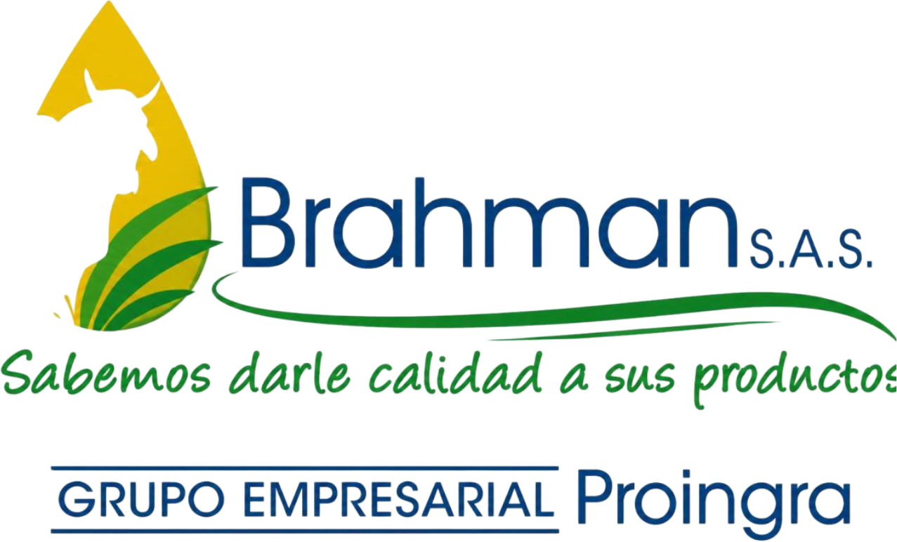 Brahman